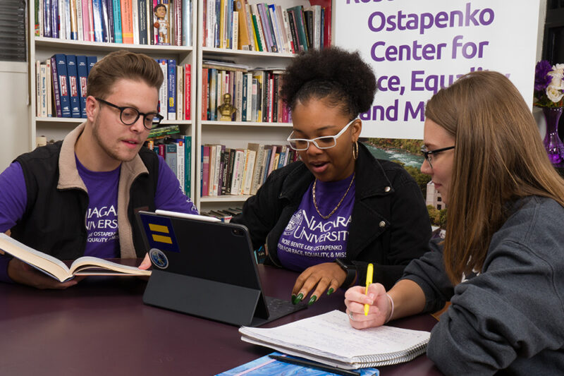 Students sitting at a table in front of a computer with a wall of books behind them.