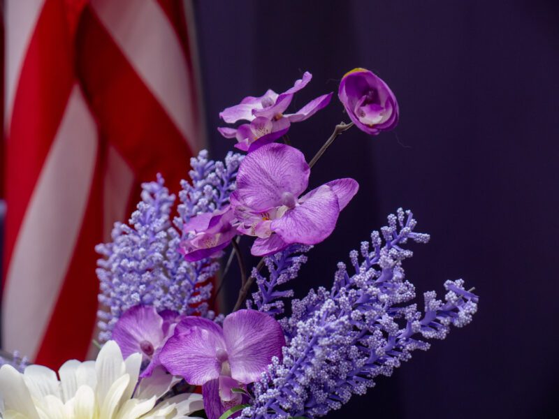Purple flowers in front of a US flag