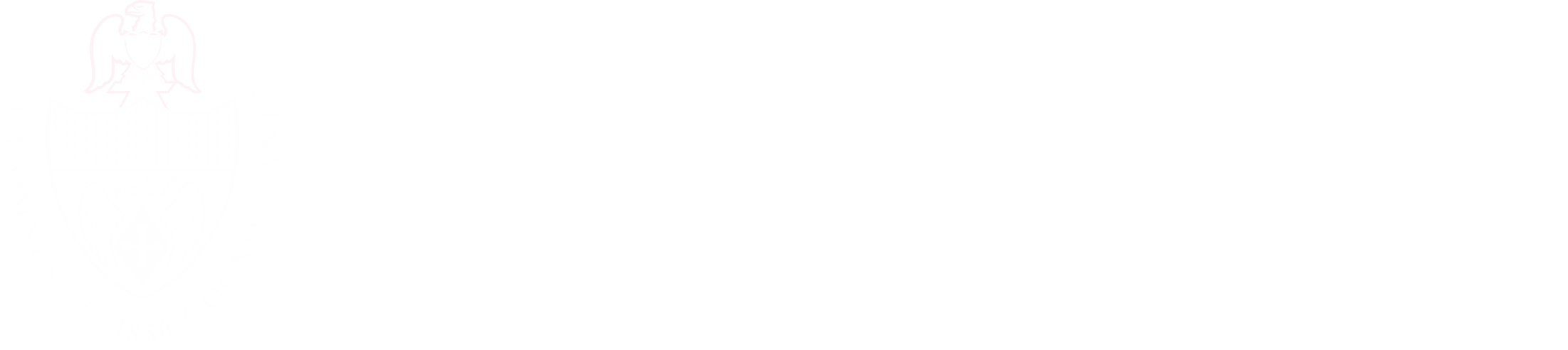Niagara University Logo
